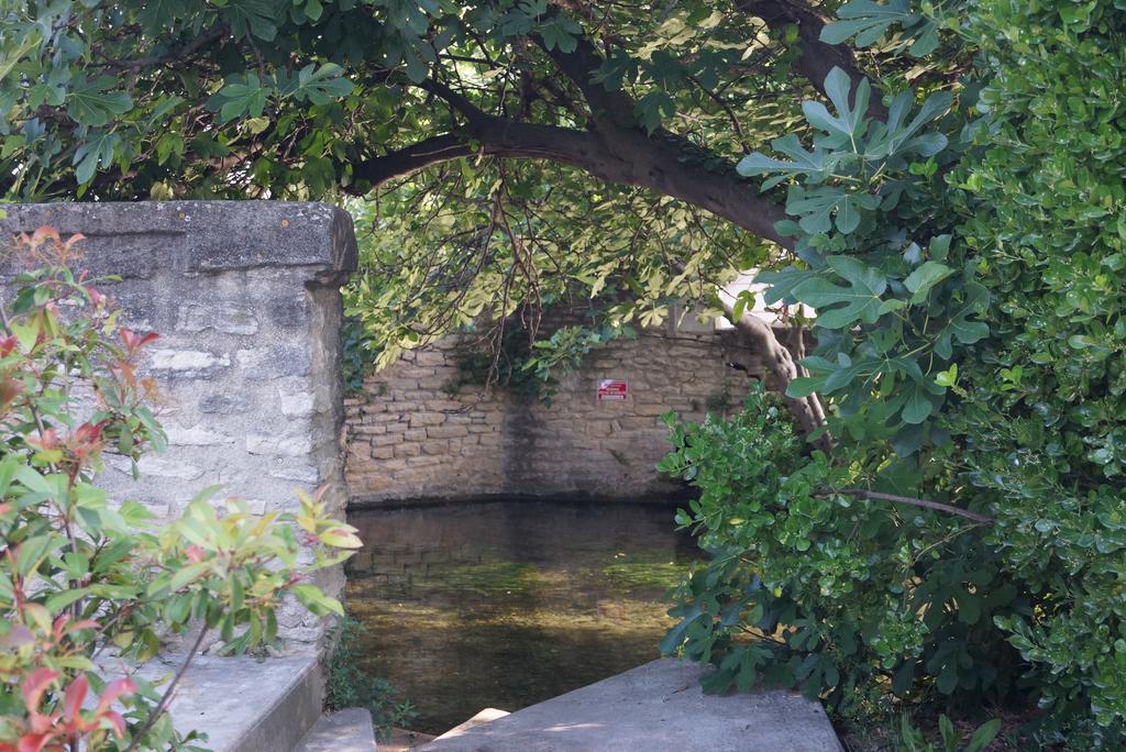 Апартаменти Colombe Л'Іль-сюр-ла-Сорг Екстер'єр фото